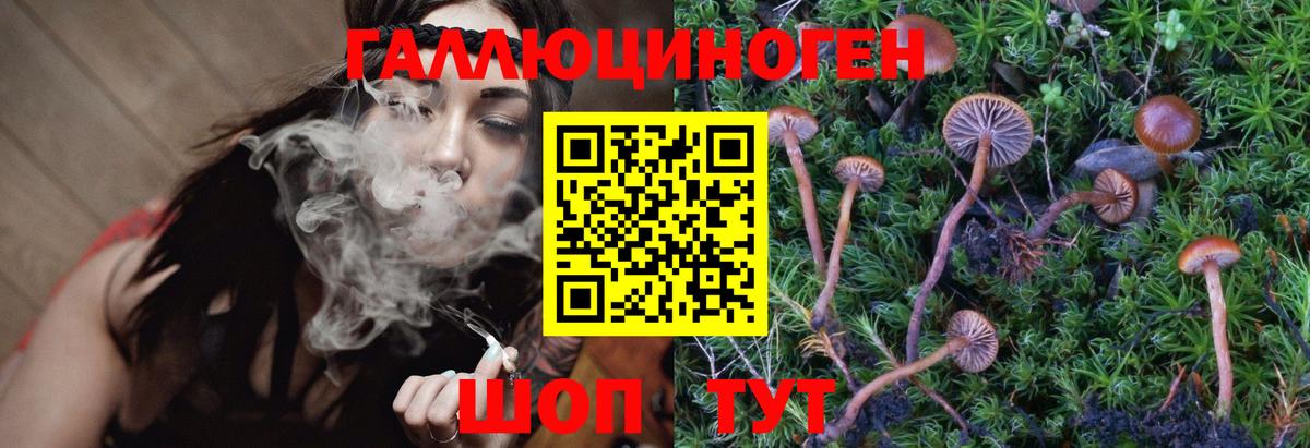 Псилоцибиновые грибы ЛСД  Галлюциногенные грибы MAGIC MUSHROOMS  Борисоглебск  Вход с VPN 